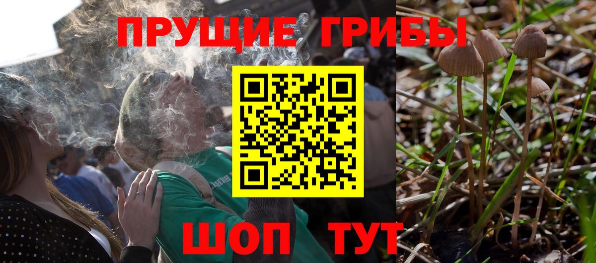 Псилоцибиновые грибы Cubensis  где найти наркотики  Новороссийск  Галлюциногенные грибы ЛСД  Вход с VPN 