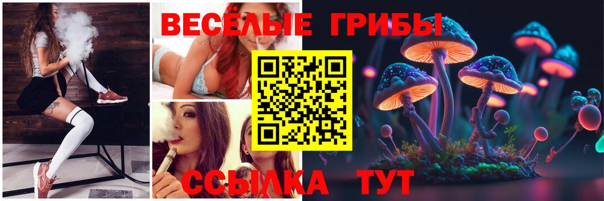 Псилоцибиновые грибы прущие грибы Новороссийск