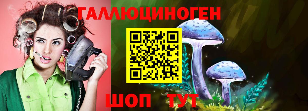 LSD-25 Новороссийск